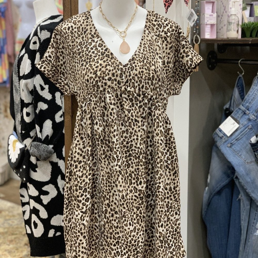 Plus Size Animal Print Dress